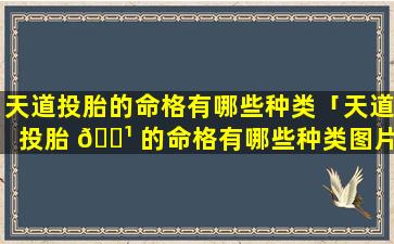 天道投胎的命格有哪些种类「天道投胎 🌹 的命格有哪些种类图片」